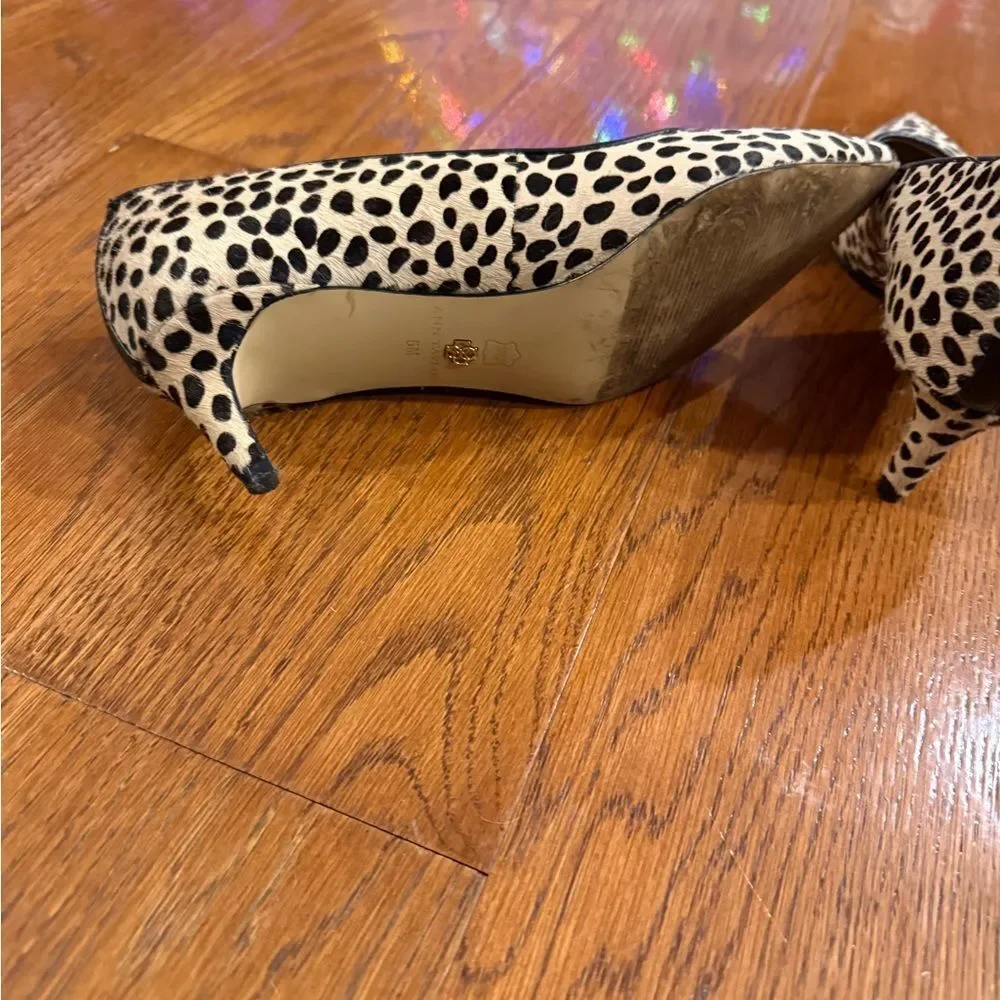 Ann Taylor chic stylish
