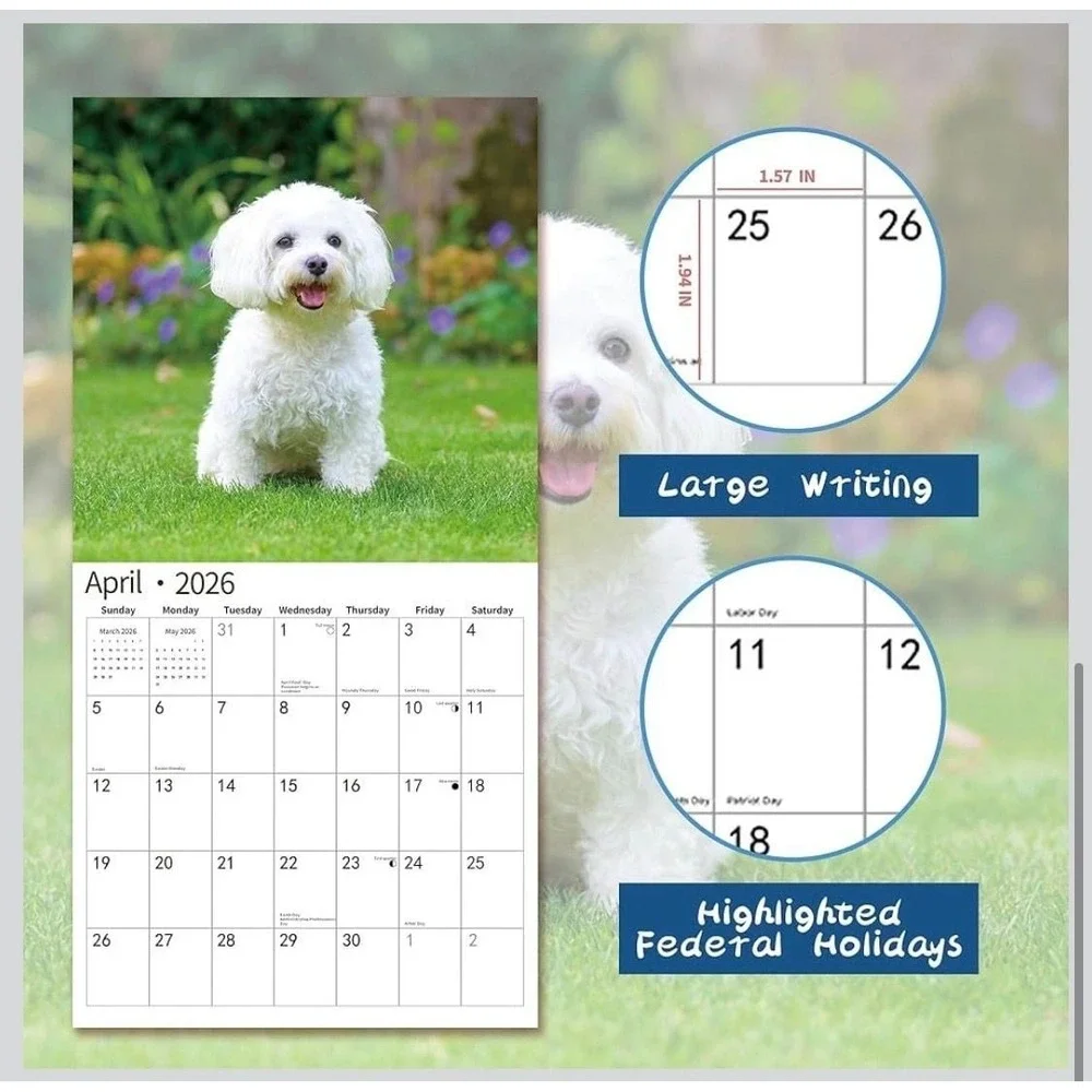 Windrio 2026 maltese