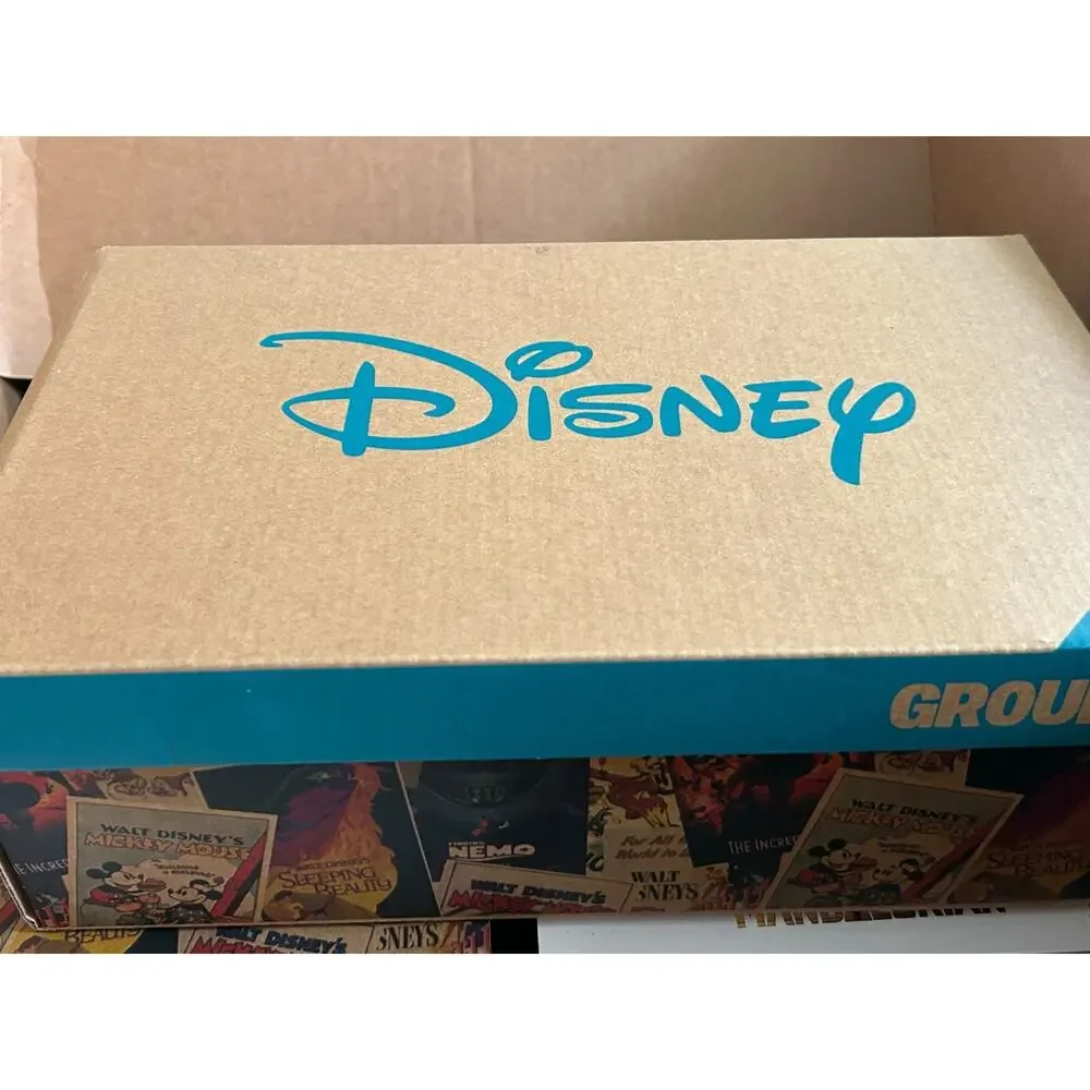 Disney provide ground
