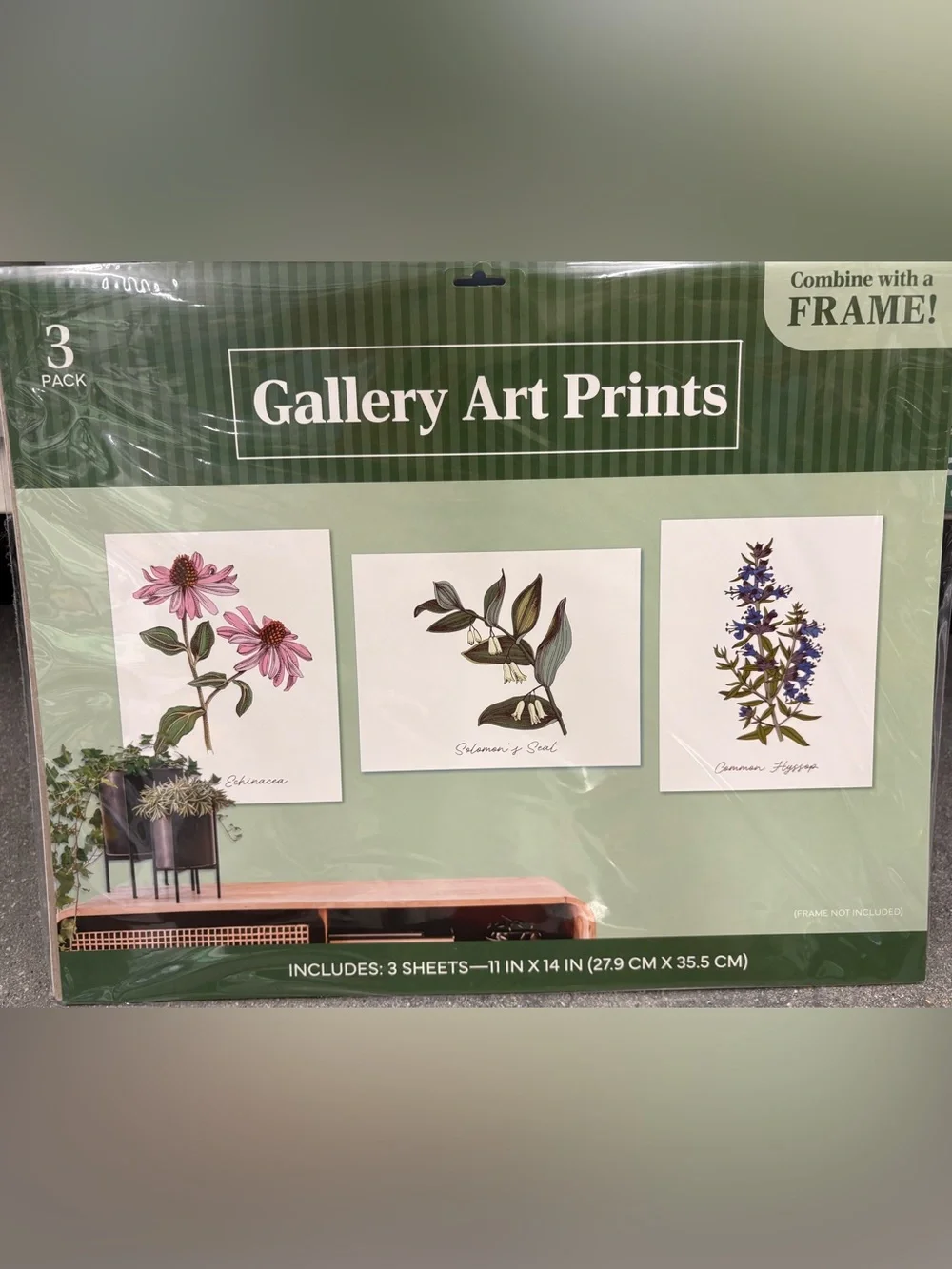 Gallery Art Prints Botanical Set - Green