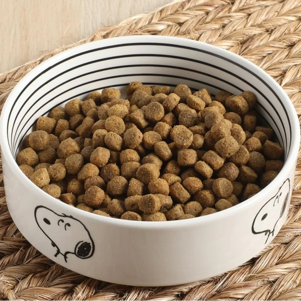 Snoopy Dog Bowl with Bone Design