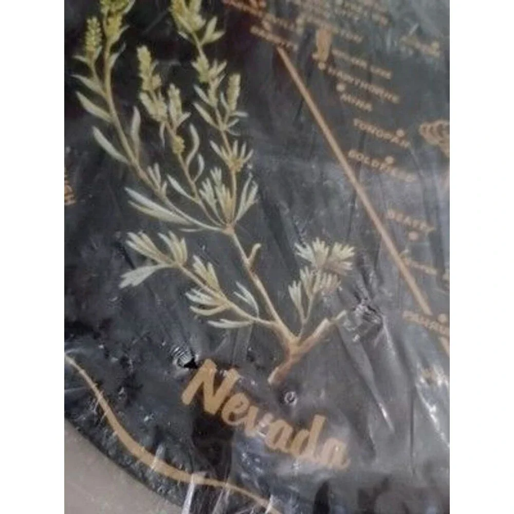 Decorator Styled nevada state