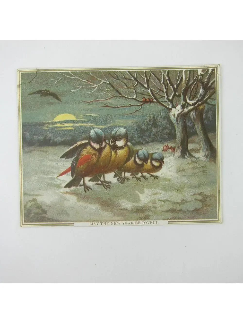 N/A victorian greeting