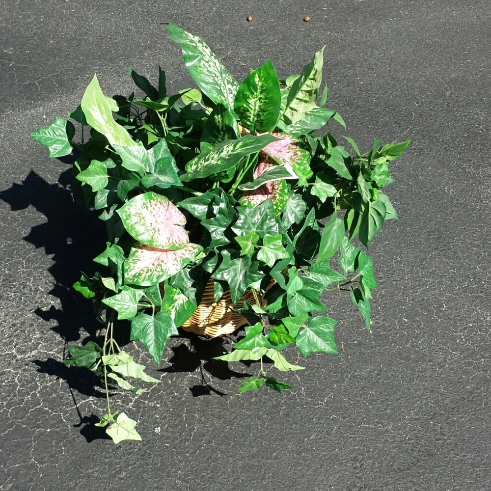Faux plants in a wicker basket
