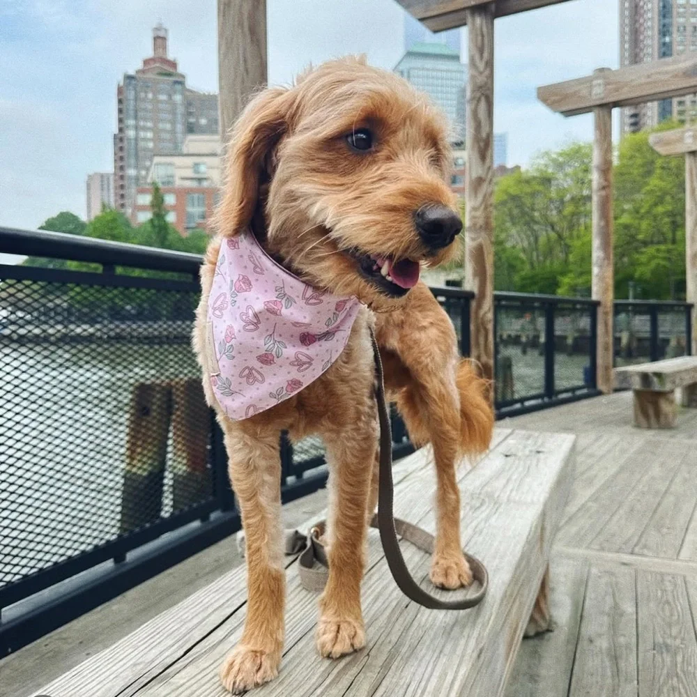 Handmade Dog Bandana – Mother’s Day Edition