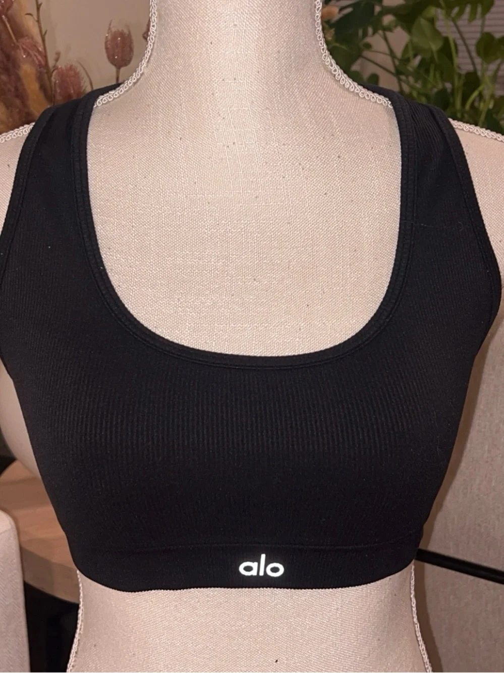 ALO Yoga alo yoga