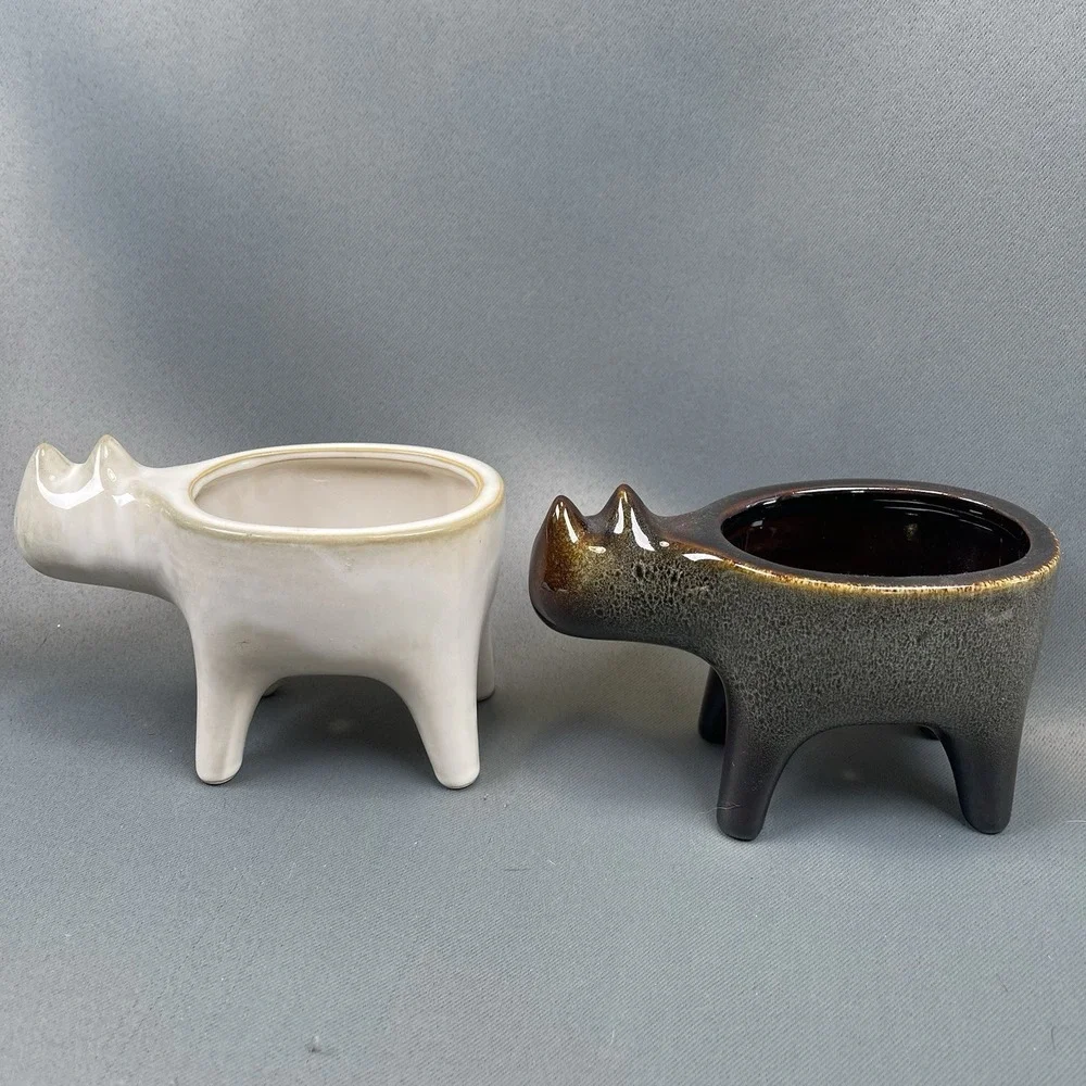 Ovida pair cat