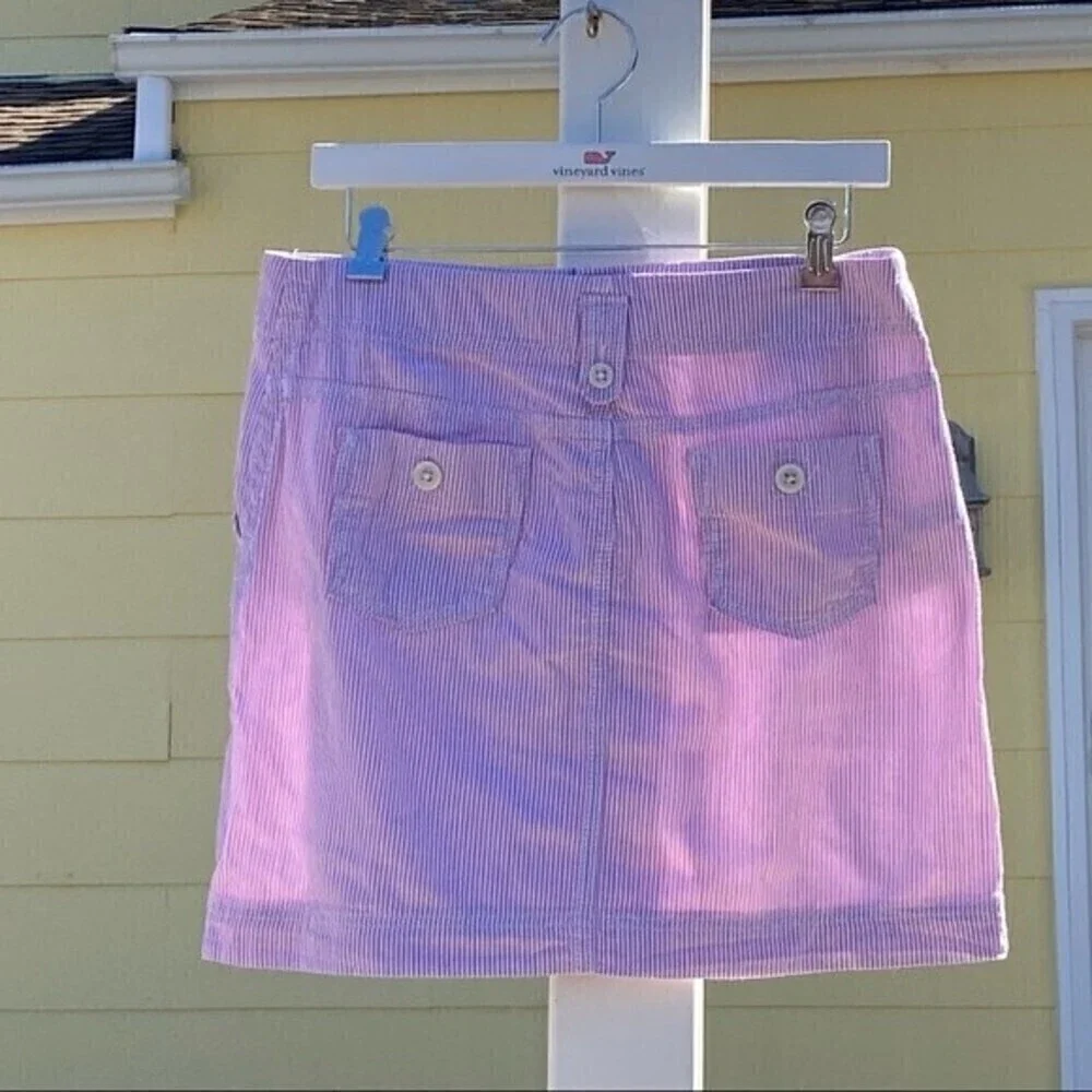 Loft Pink Seersucker Skirt