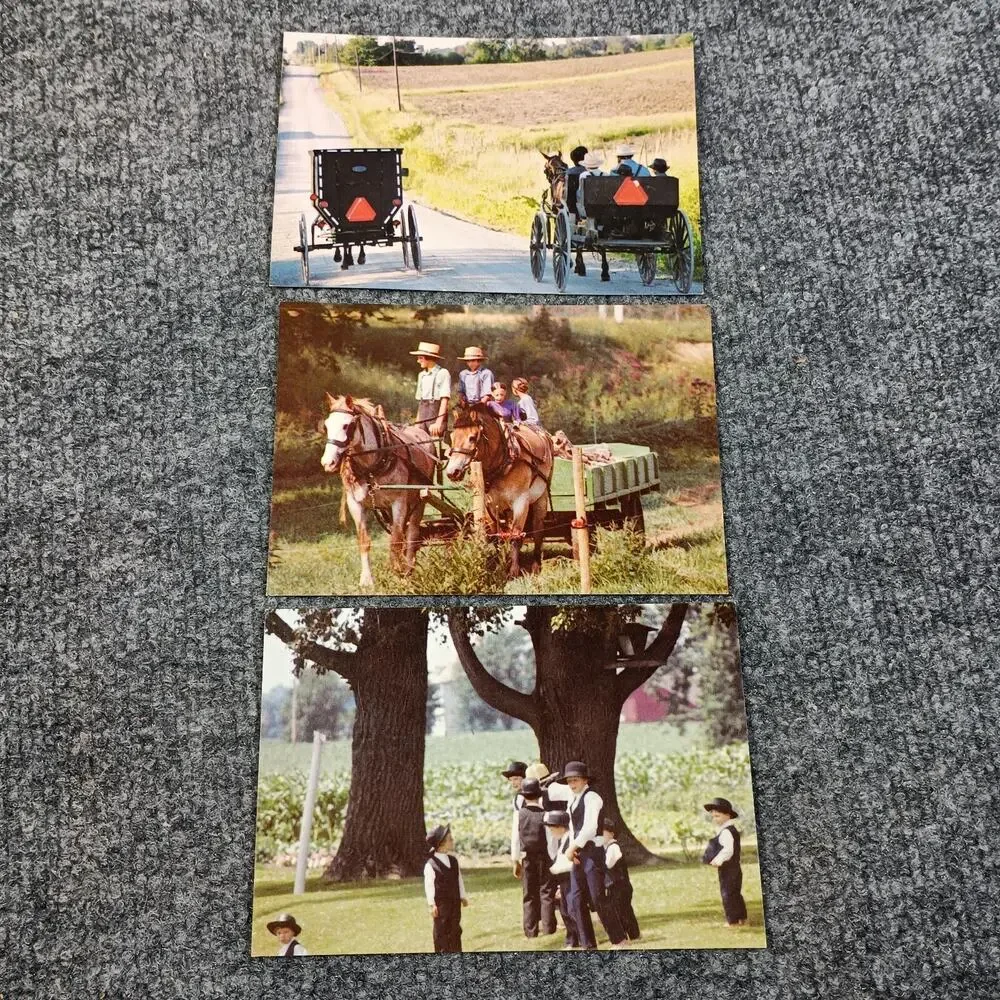 Amish Postcards Set of 3 Horse Buggy Farm Life John‎ M Zielinski Photography VTG