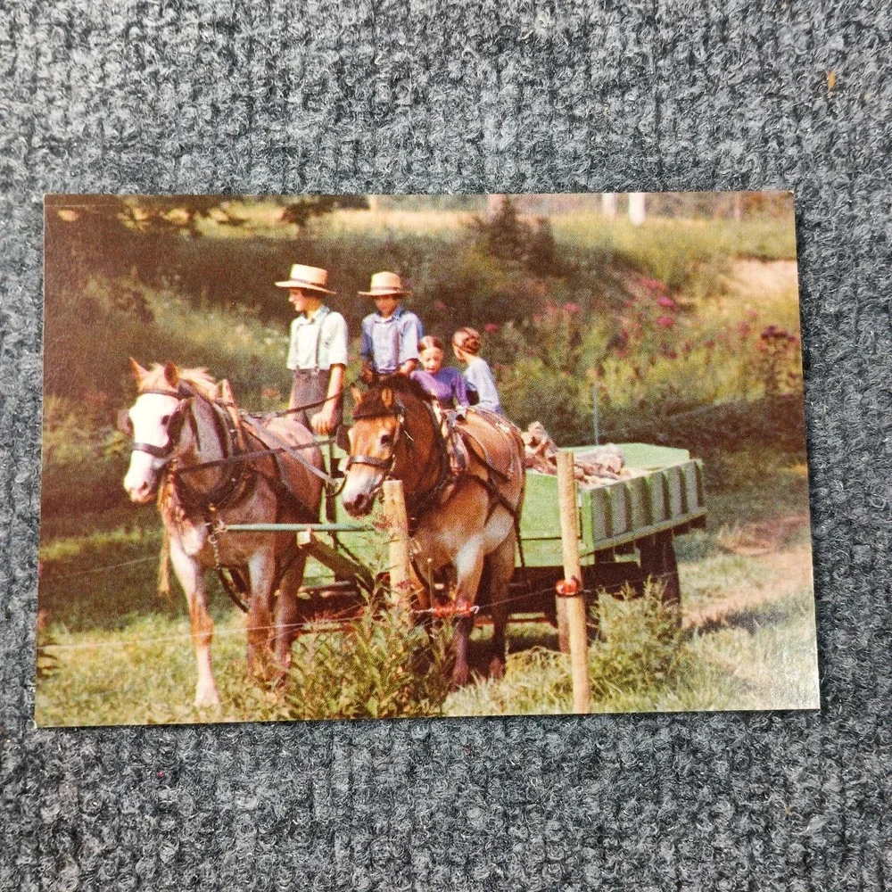 John M Zelenski these will
