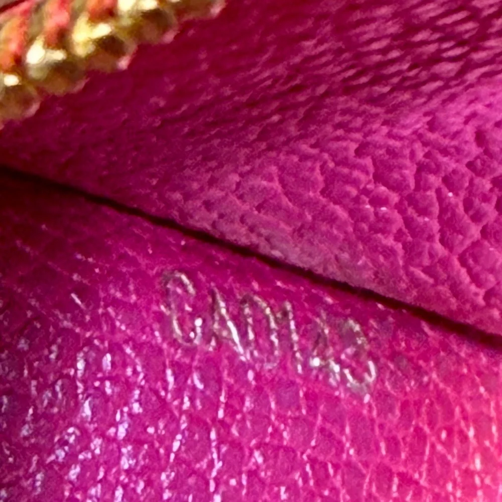 Louis Vuitton empreinte leather