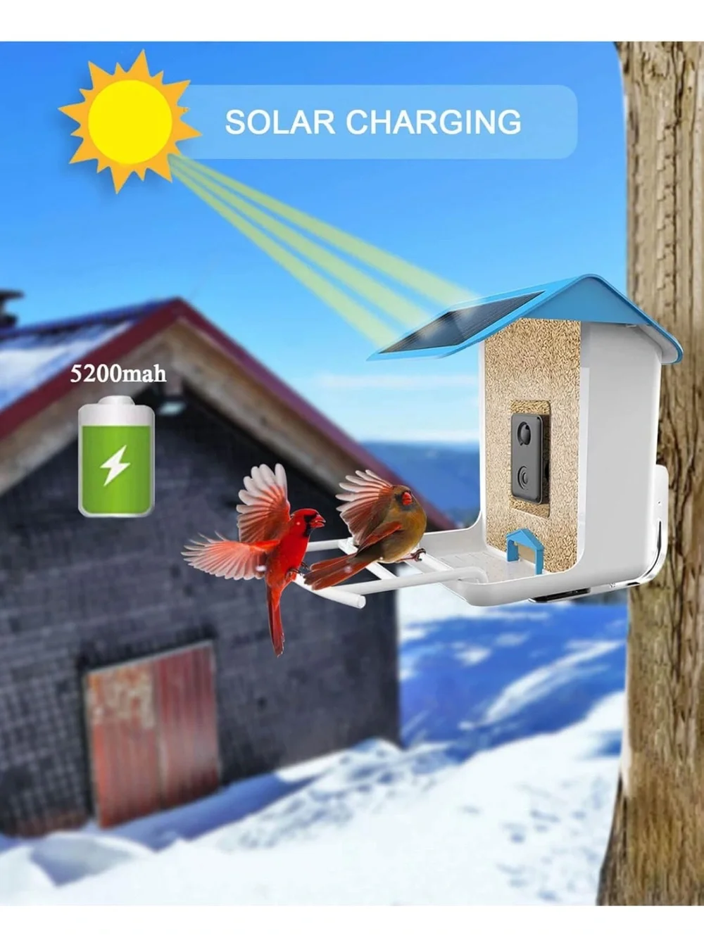 Bird Feeder smart remote