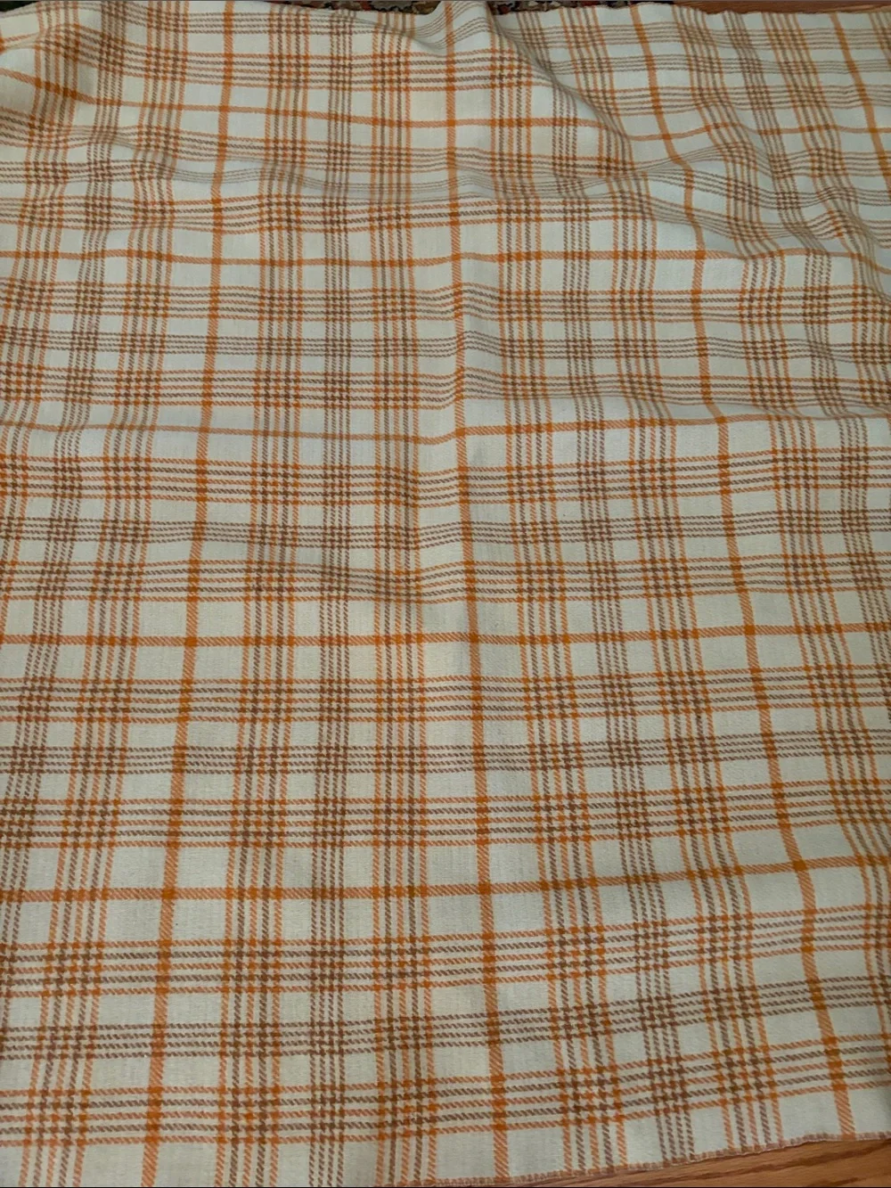 Pendleton wool throw