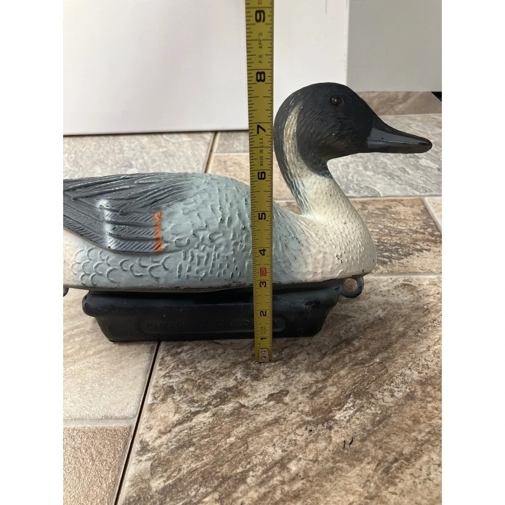 The Unbranded Brand northern pintail