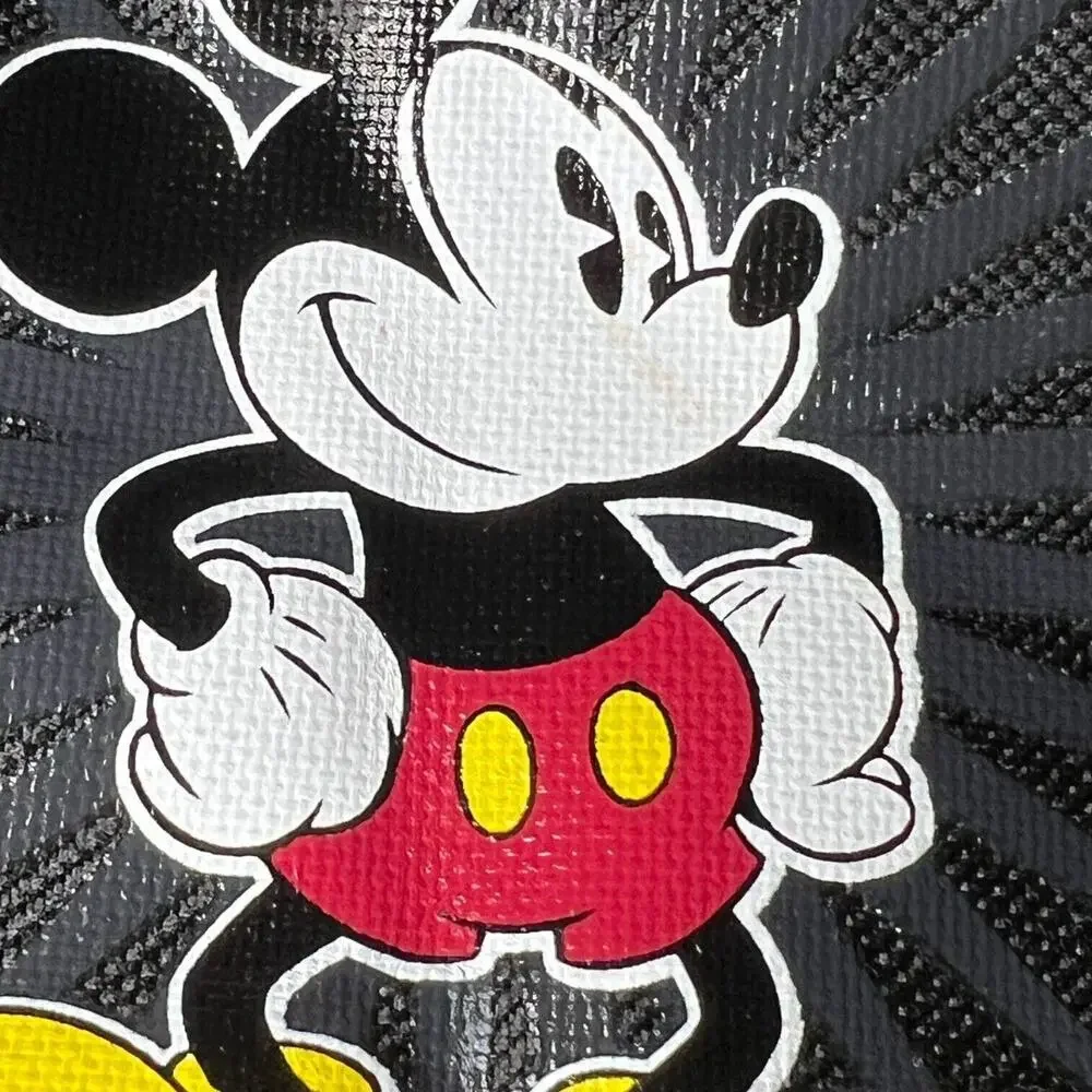 Disney nwt disneyland