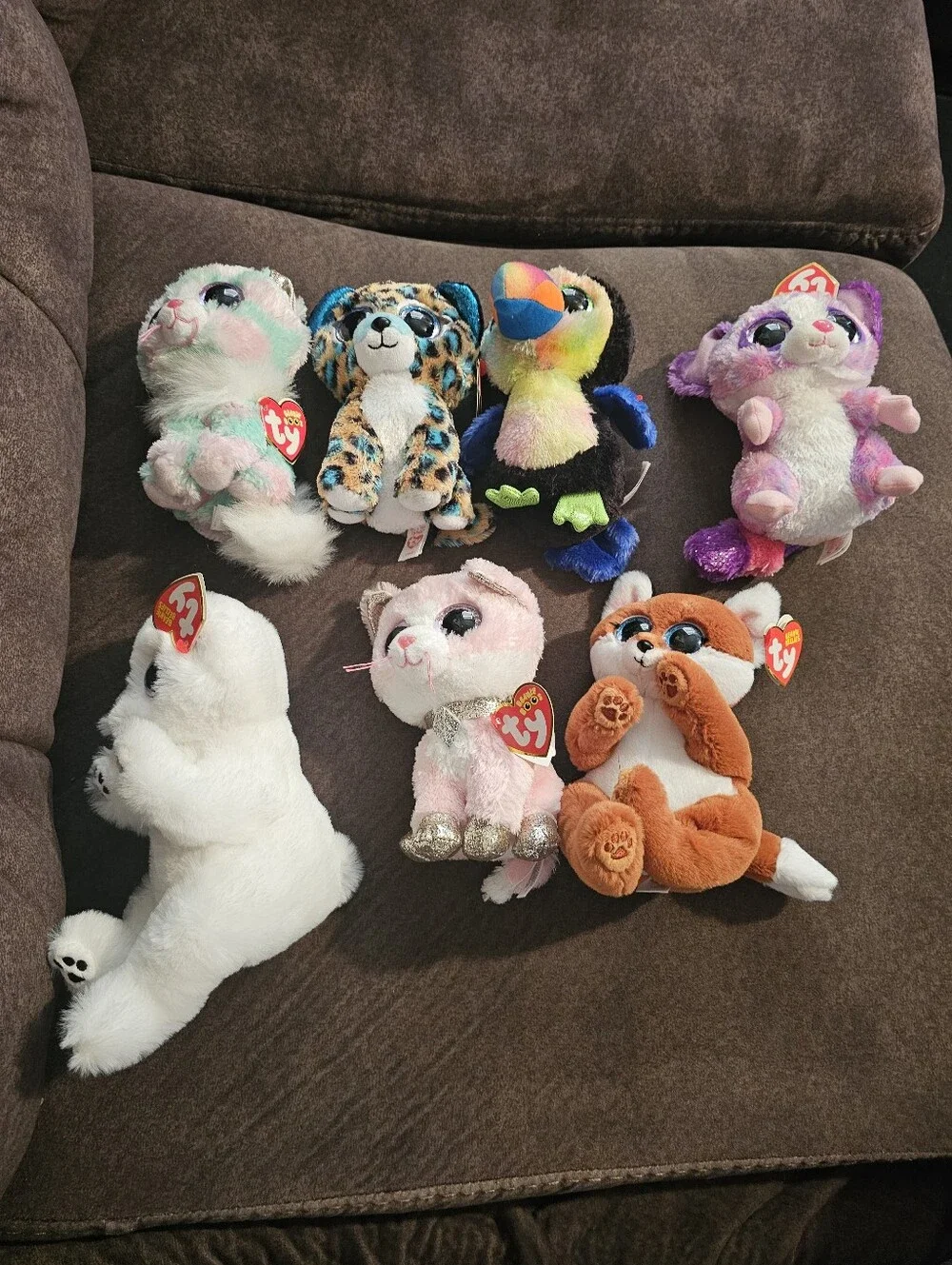 Ty Multicolor Plush Small 6in Pets Collection
