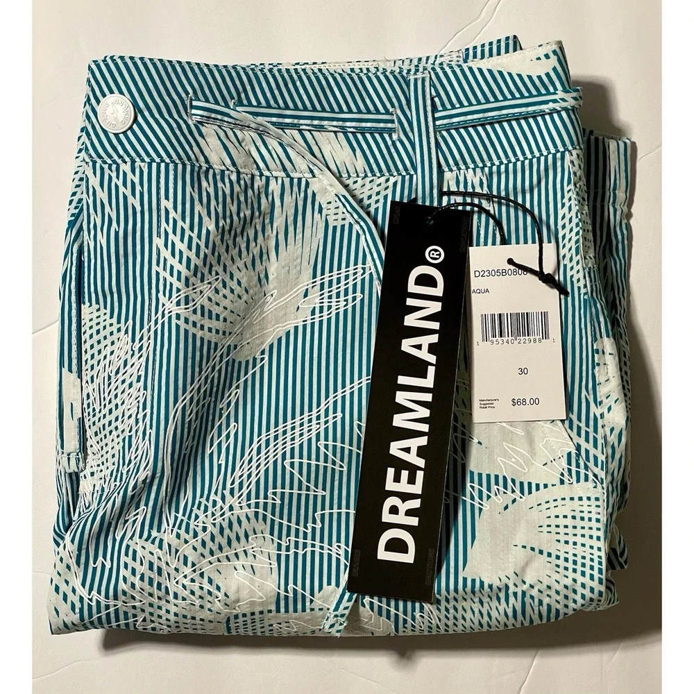 Dreamland Men's Aqua Stripe Shell‎ Shorts Size 30