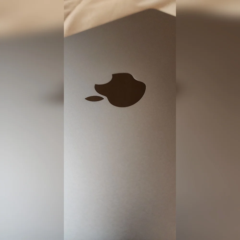 Apple experience sleek
