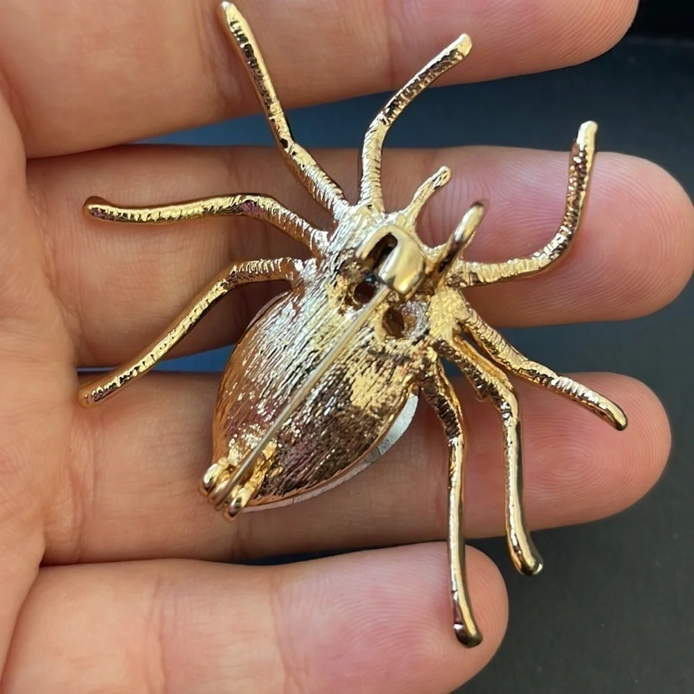 spider 🕷️