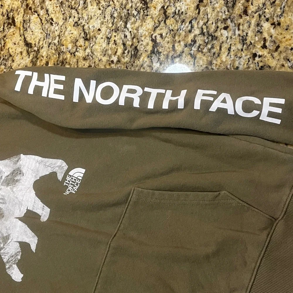 The North Face everyday hoodie classic