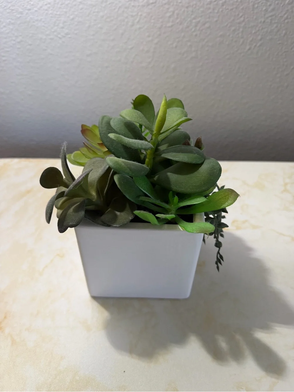 Source Unknown faux succulent