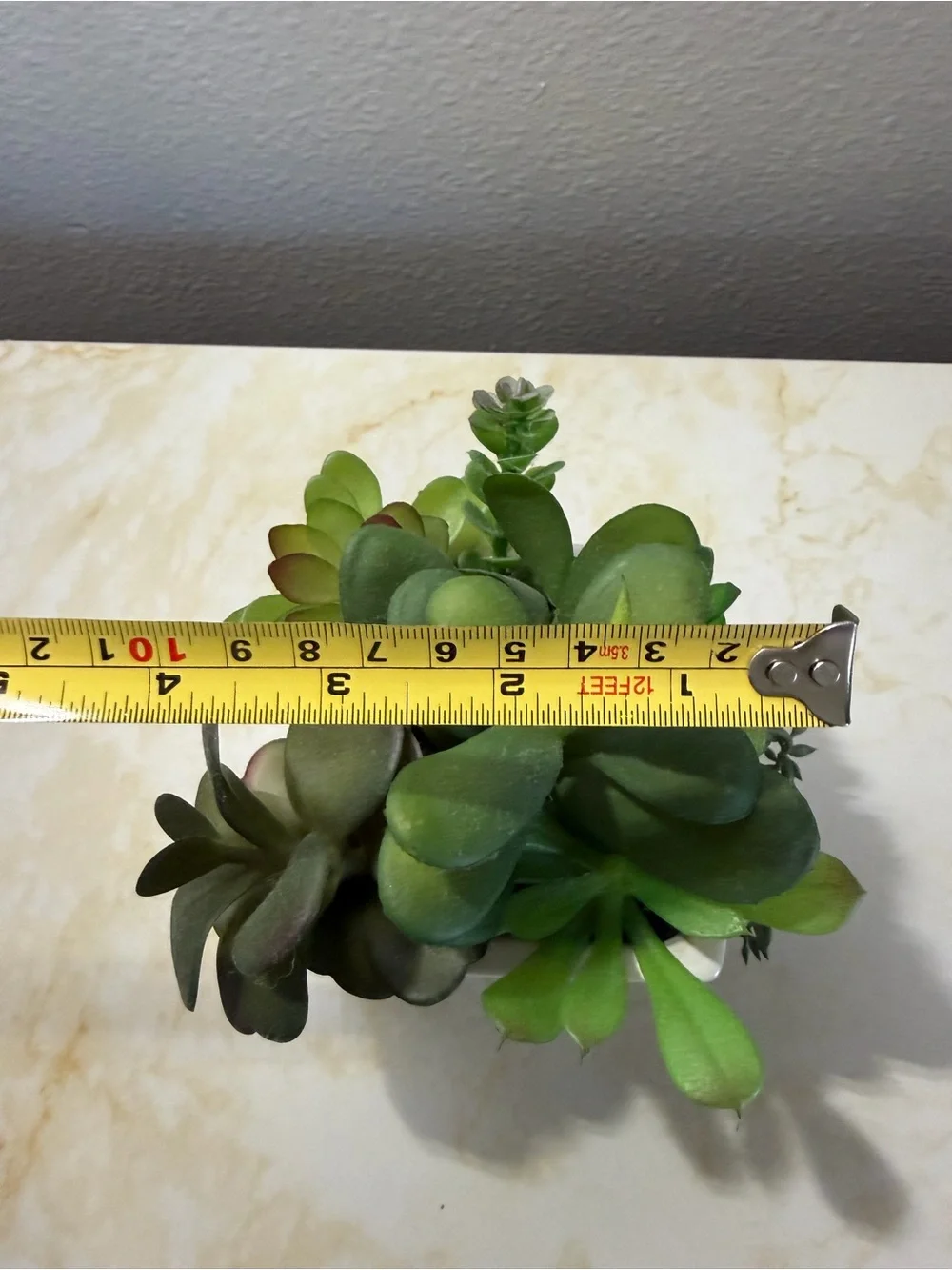 Source Unknown faux succulent