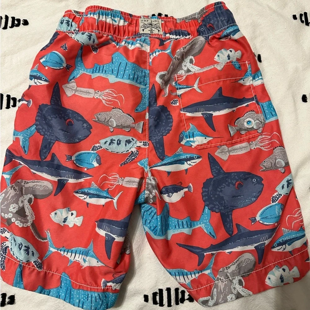 GAP marine animal