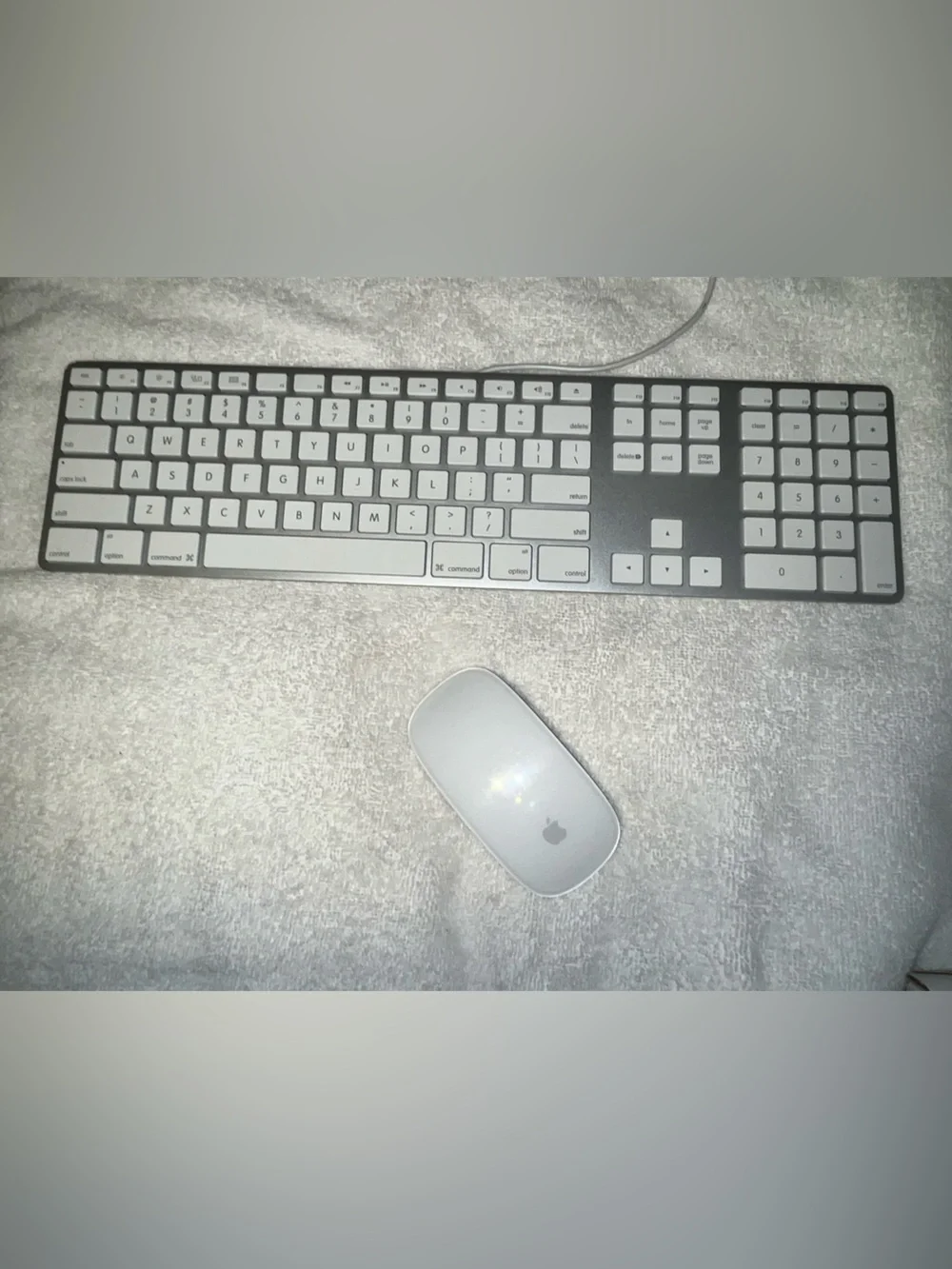 Apple Silver & White Wired Keyboard with White Magic Mouse