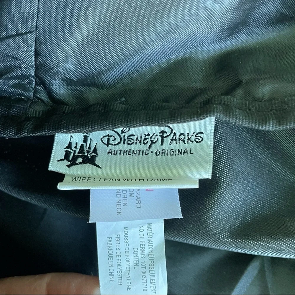 Disneyland Resort lined small backpack