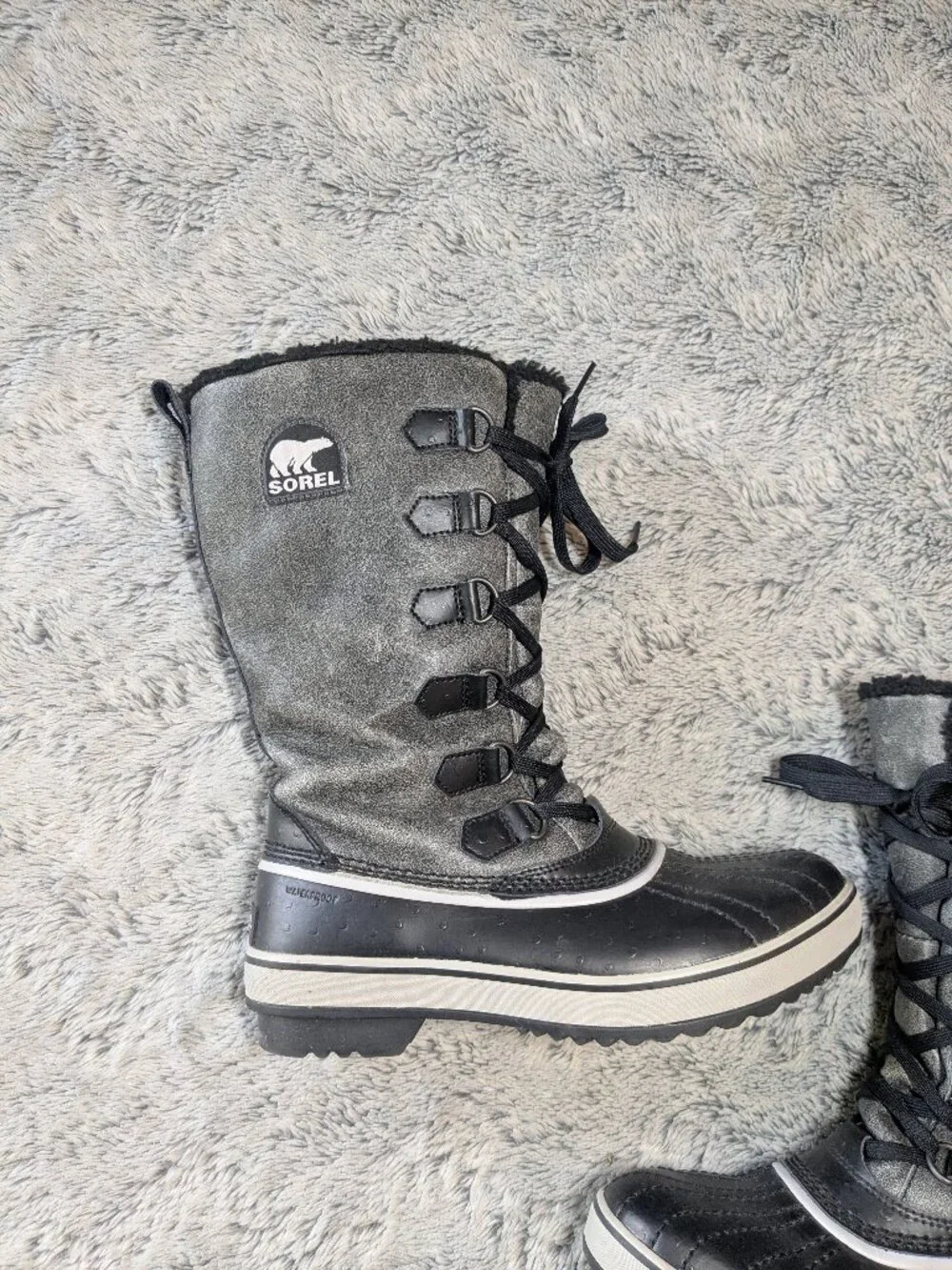 sorel gray