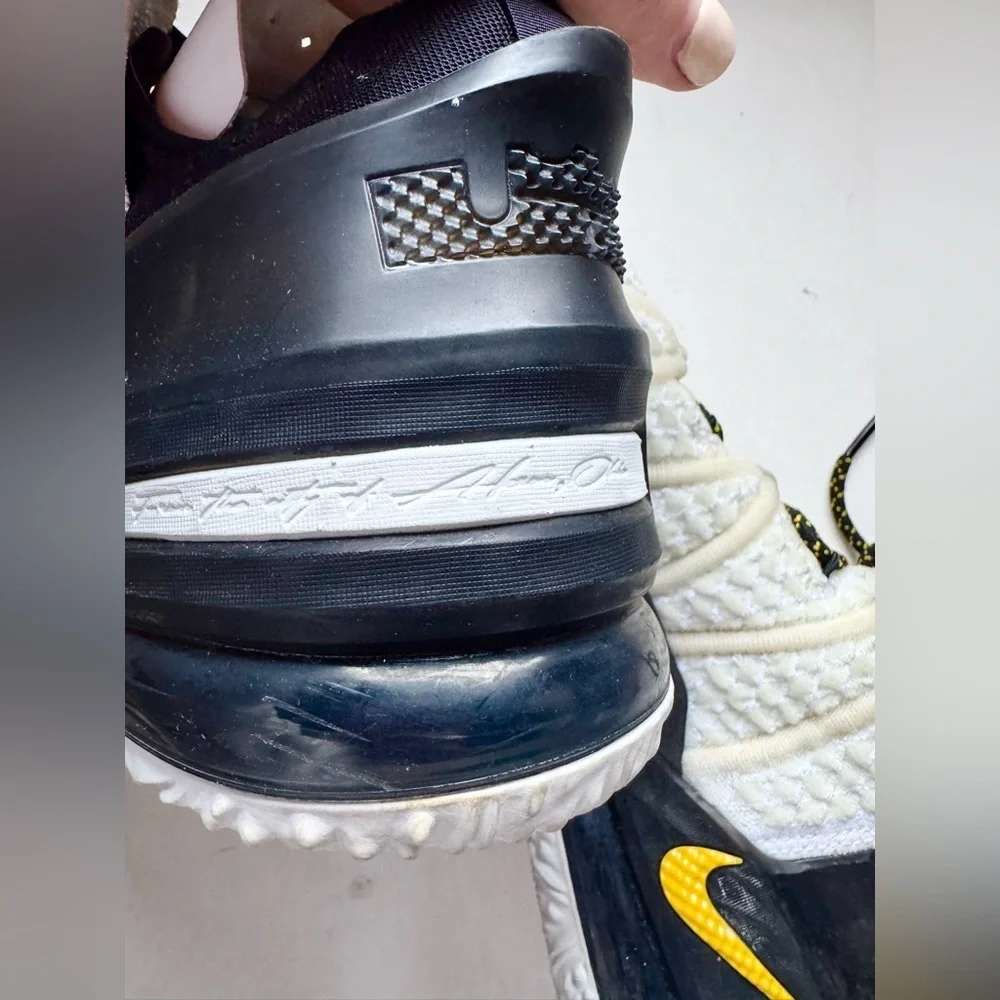 Nike lebron 18