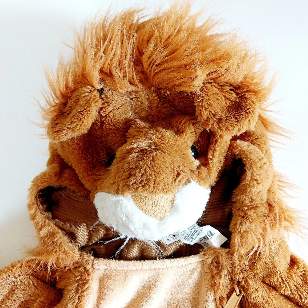 Target this lion