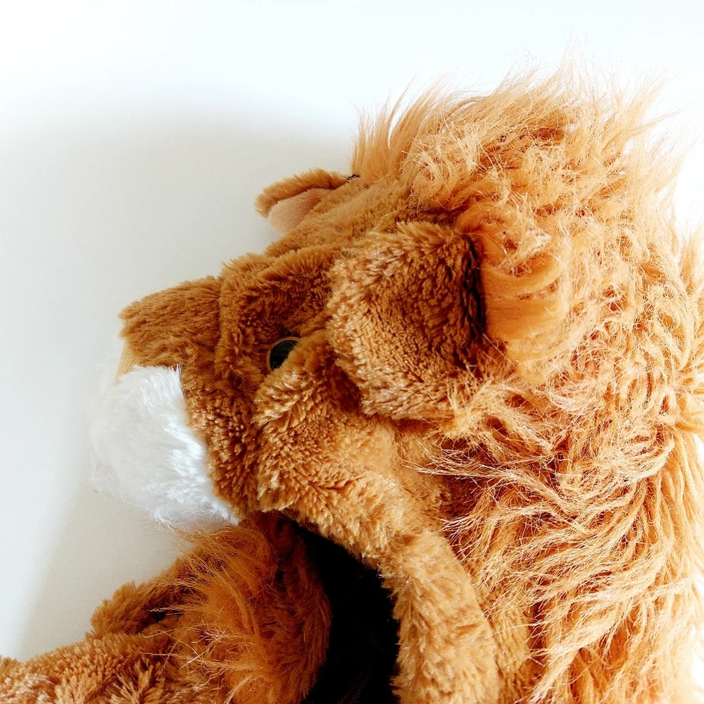 Target this lion