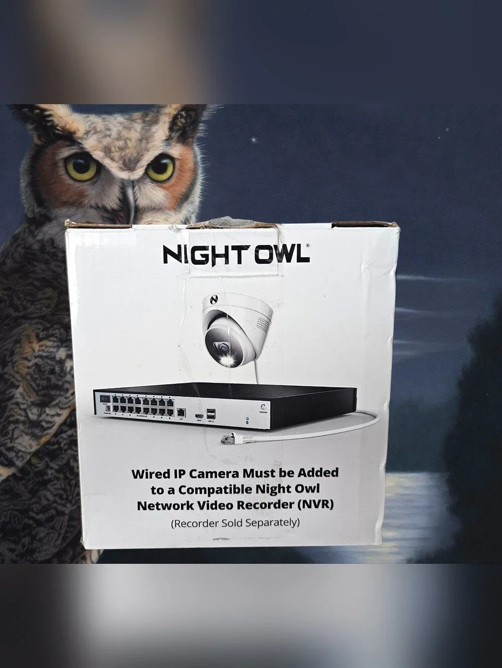 Night Owl night owl