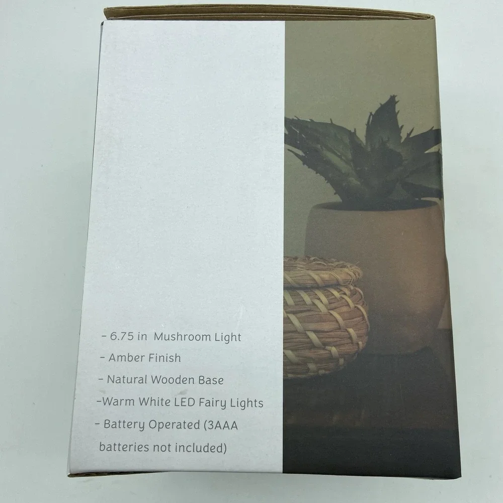 Merkury innovations amber
