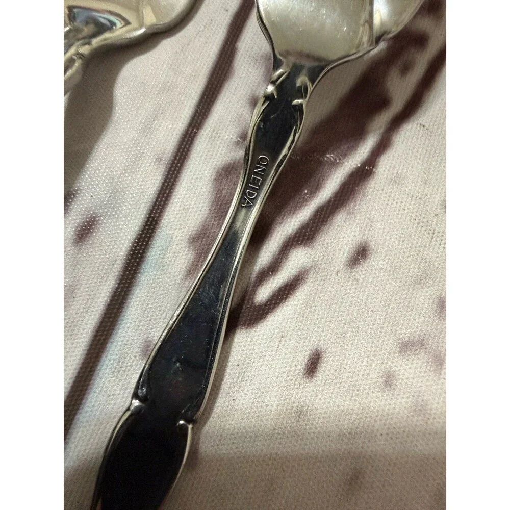 Oneida cantata stainless
