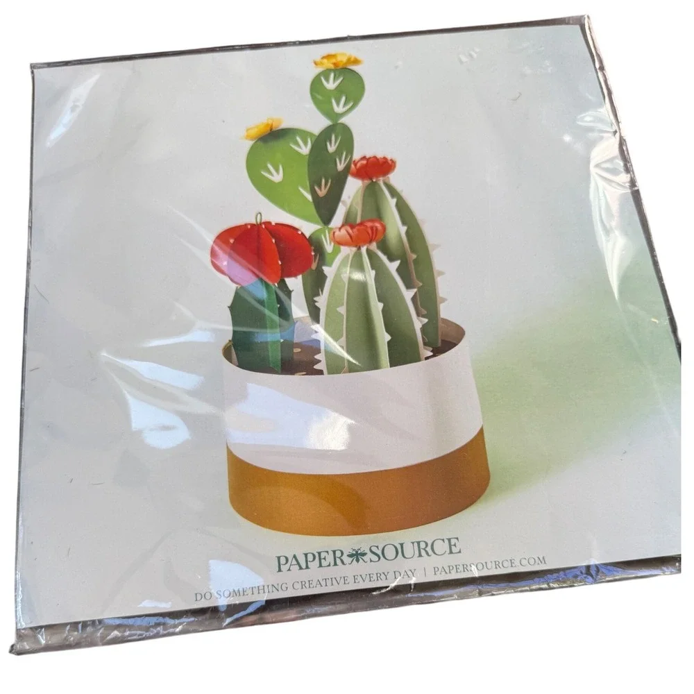 Paper Source Potted Cactus‎ Kit DIY Paper Craft 3D Succulent Decor CP59991691M