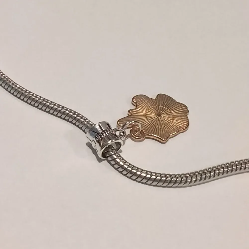 charm silver gold