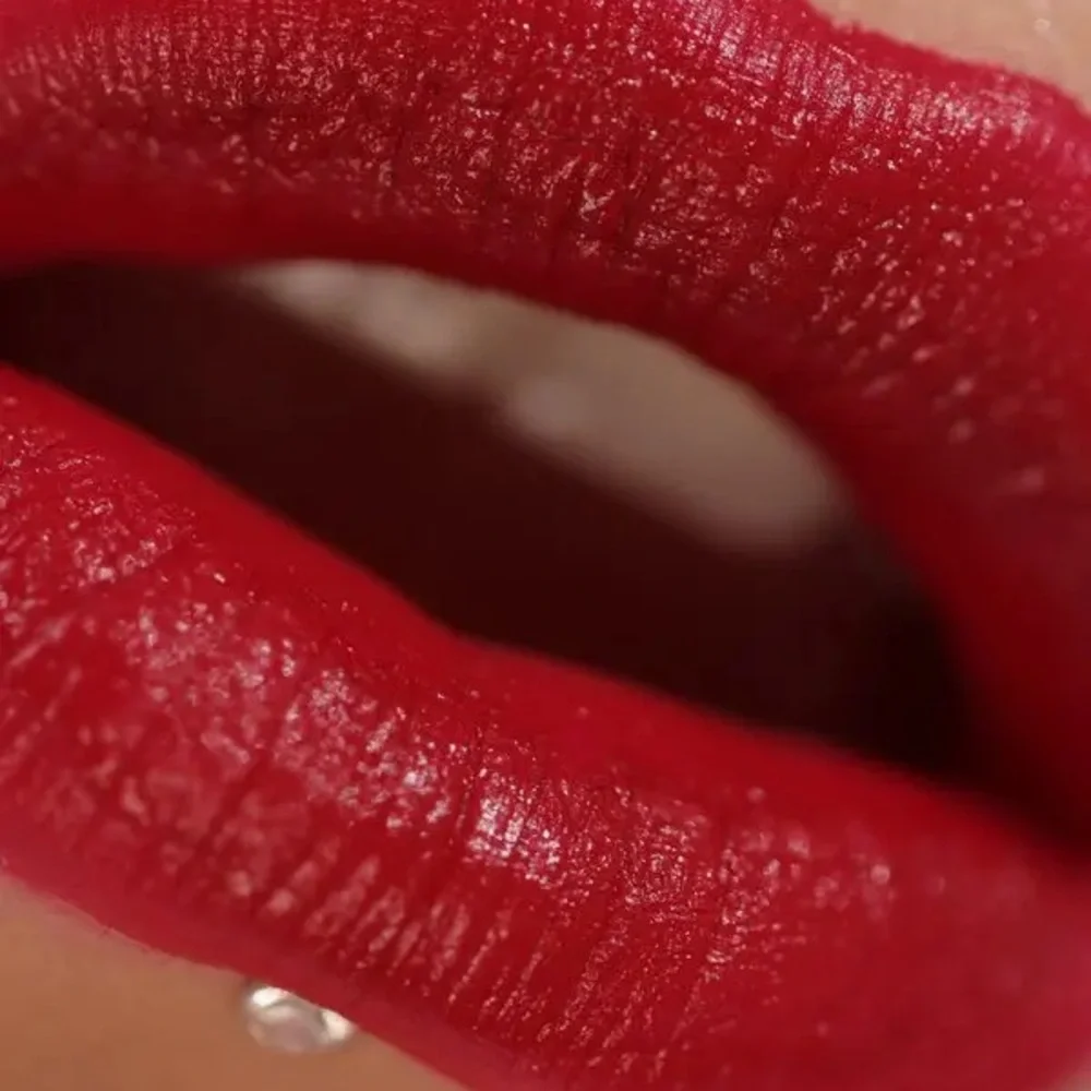 Lord & Berry‎ Semi Matte Lipstick in #7610 Rebel NEW Made in Italy