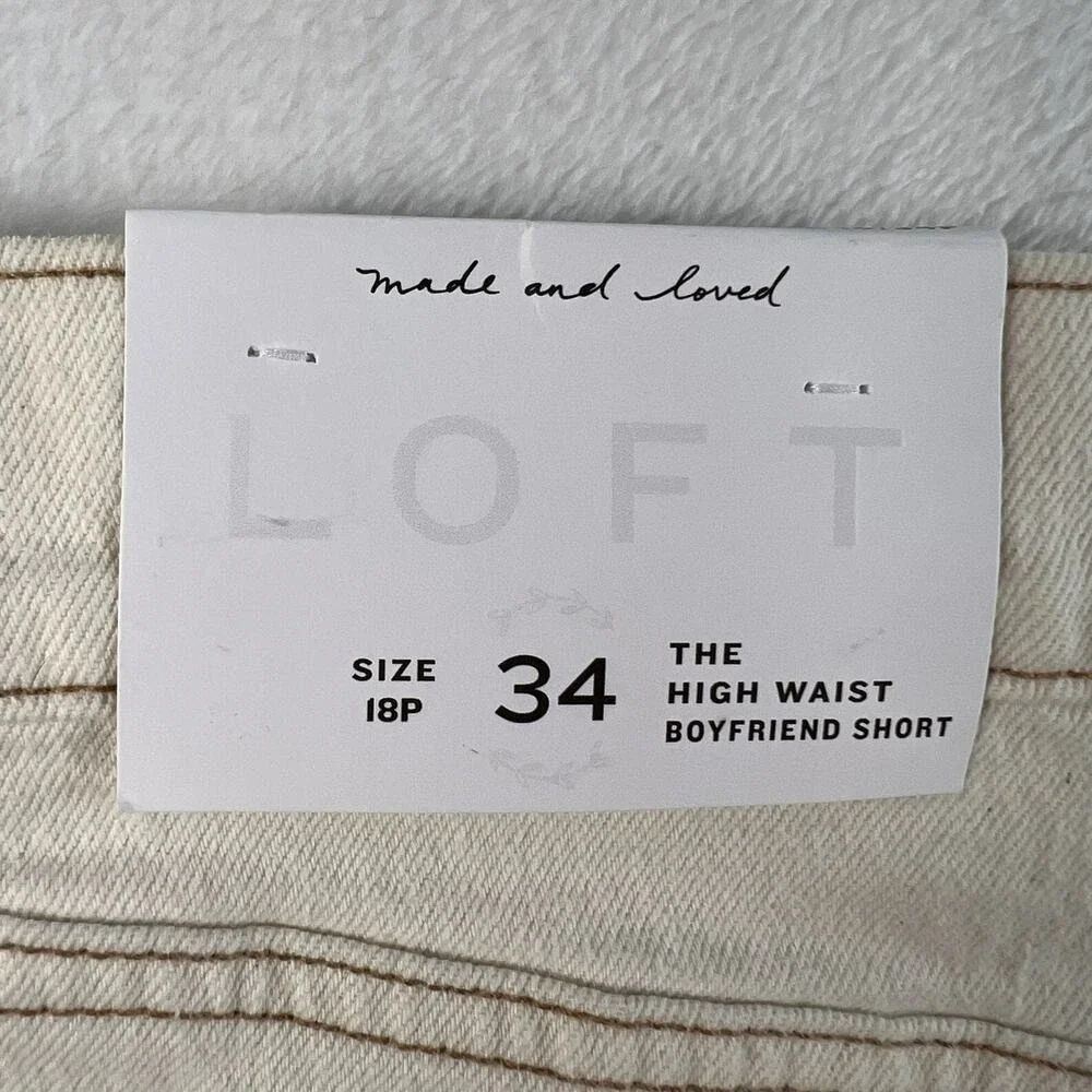 loft plus