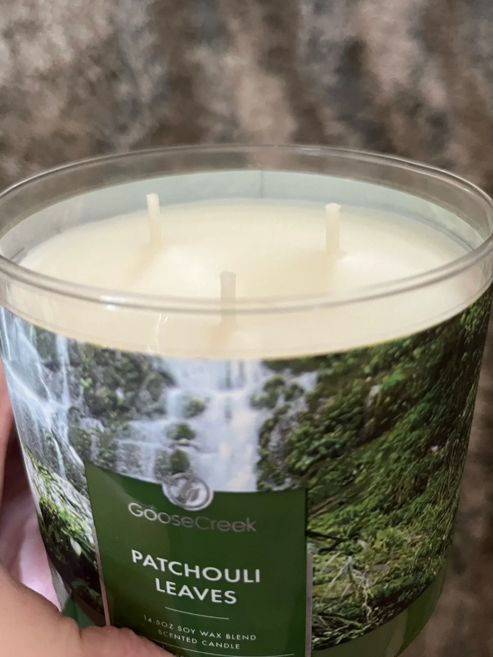 Goose Creek patchouli leaves