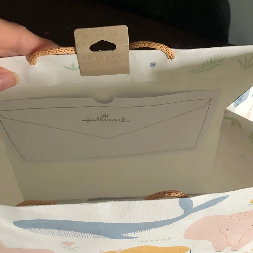 Hallmark gift bag