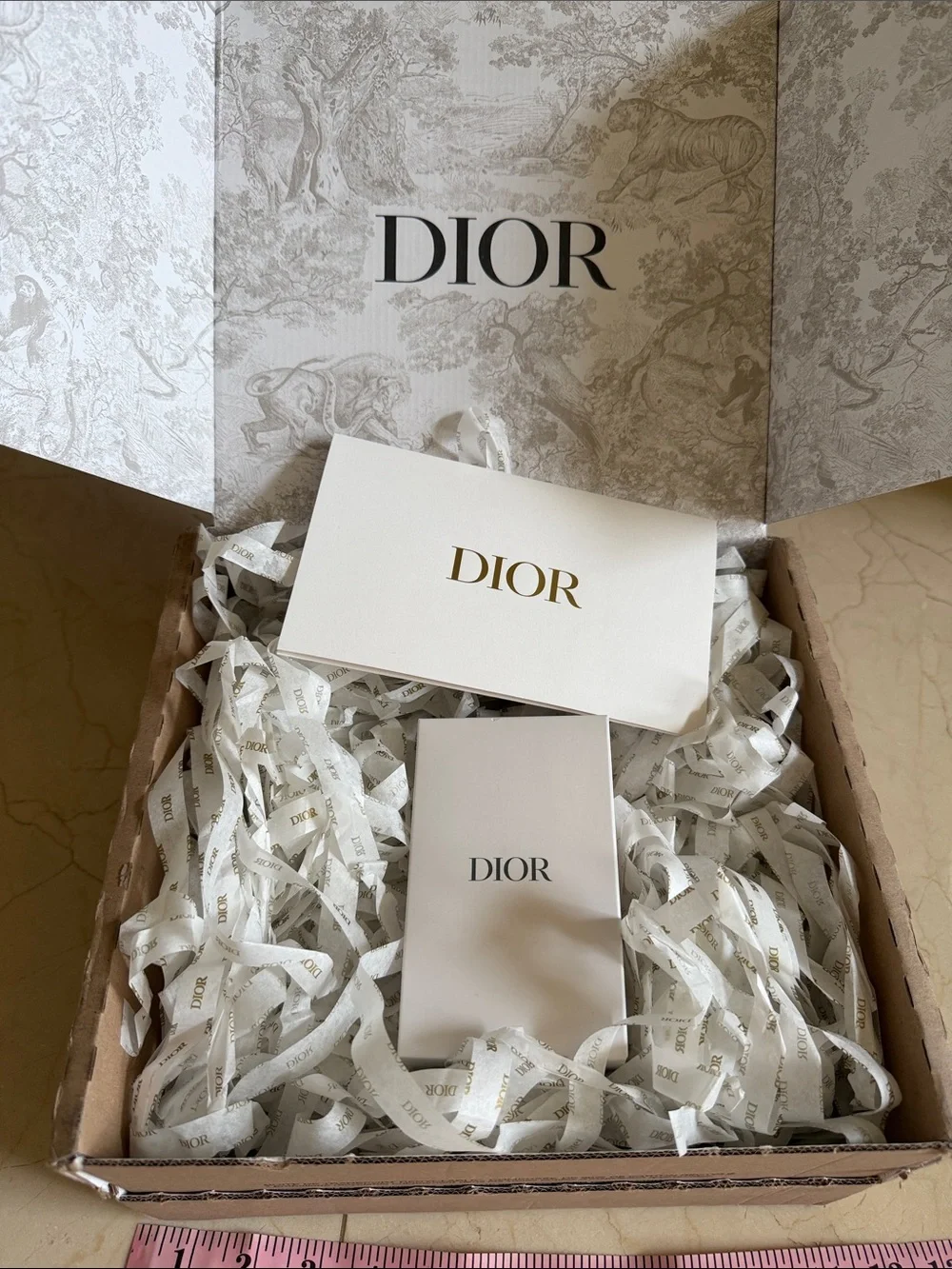 Dior charging accessories spaghetti