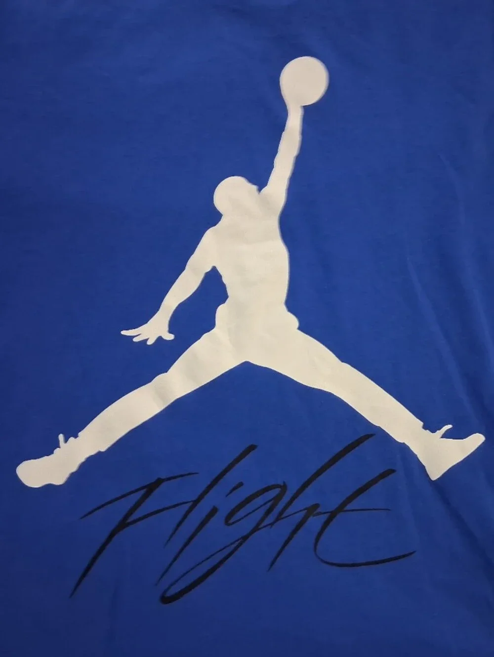 Jordan Jumpman Flight Graphic Tee AO0664-480 NWT Size Large
