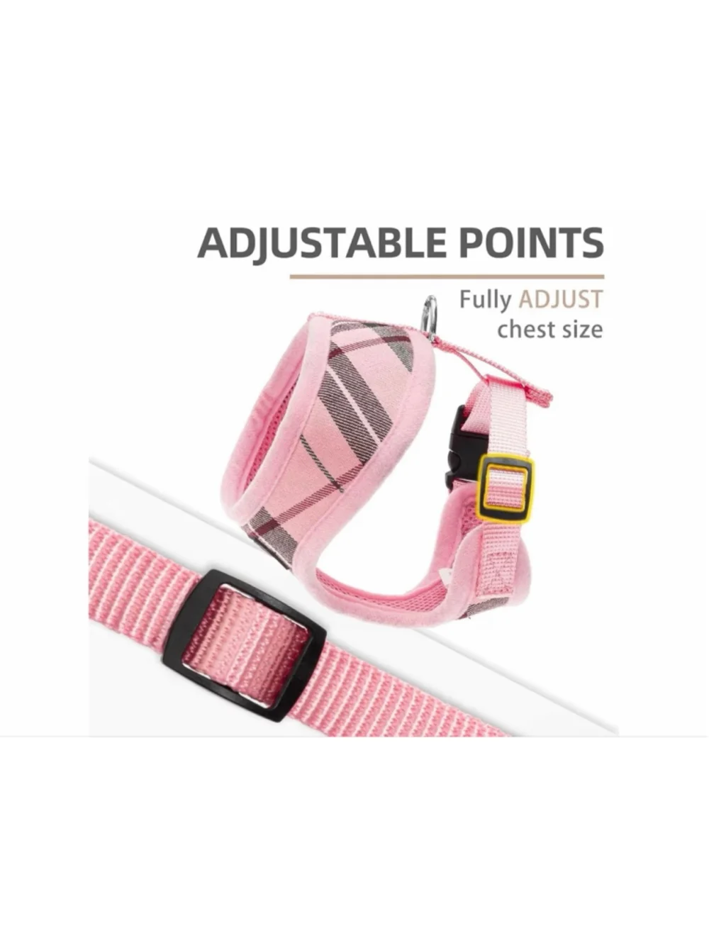 Pupteck new soft