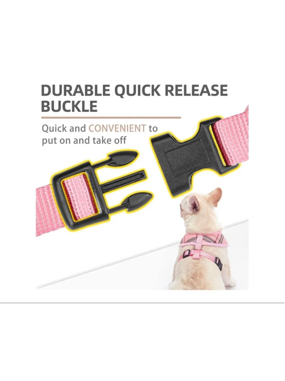Pupteck new soft