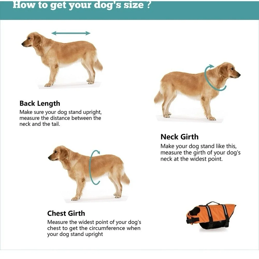 The Unbranded Brand pet swimming
