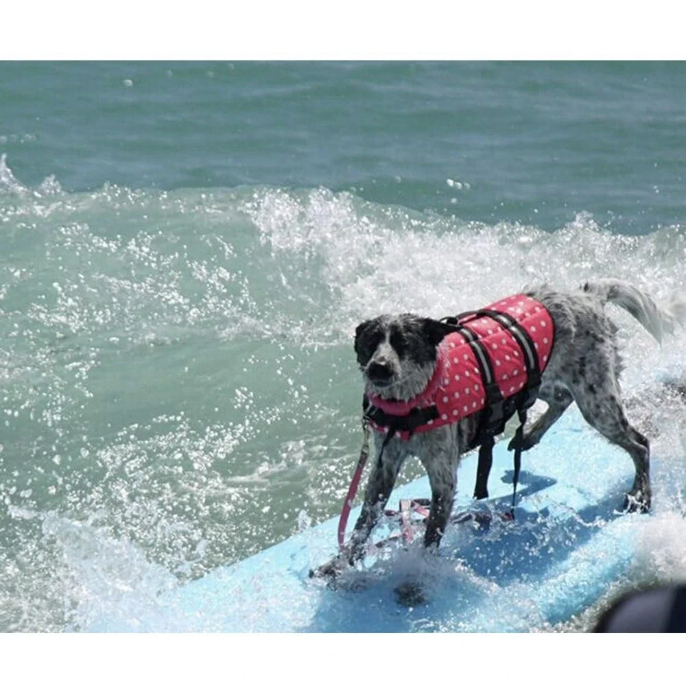 The Unbranded Brand pet swimming