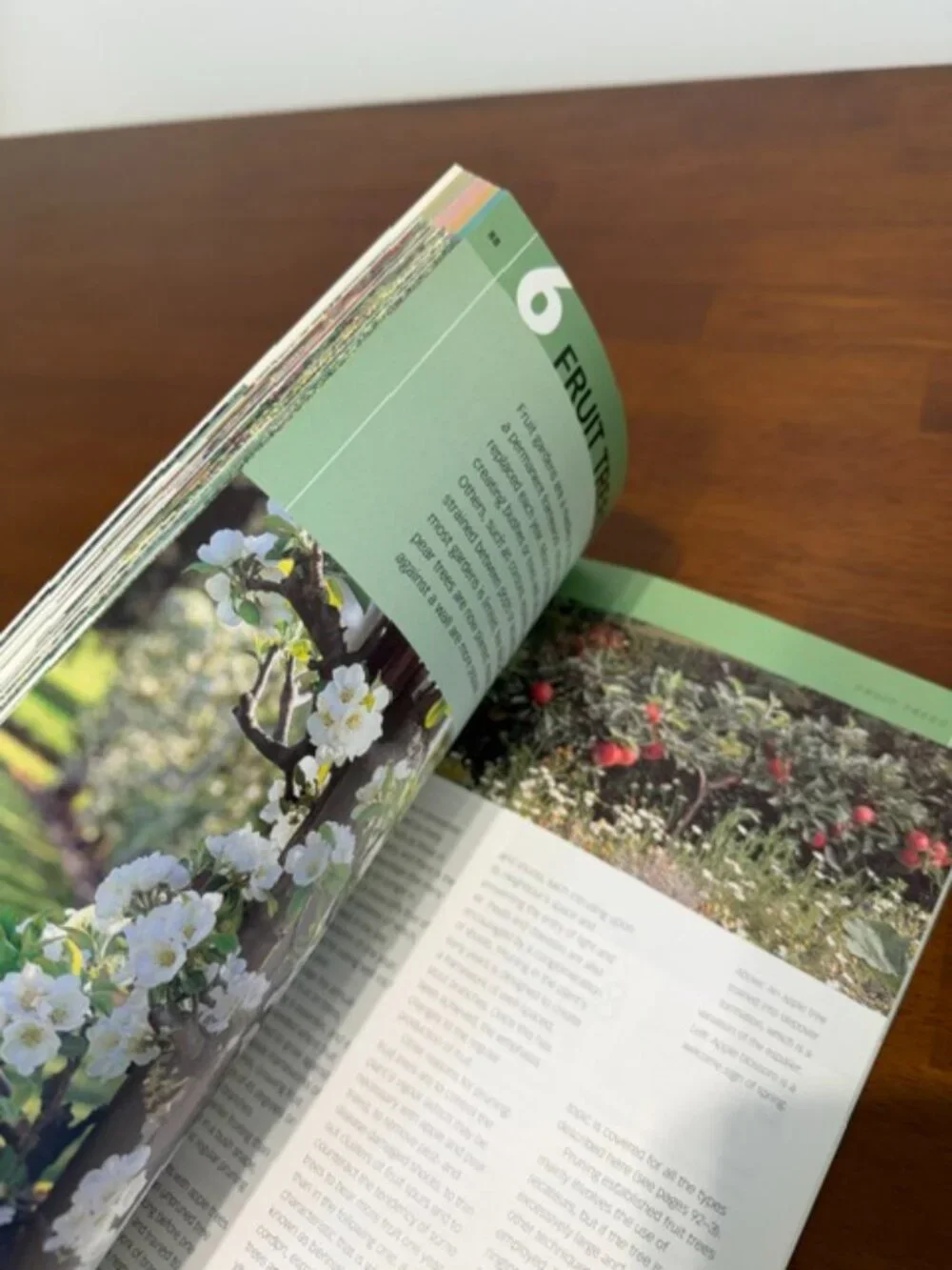N/A pruning basics
