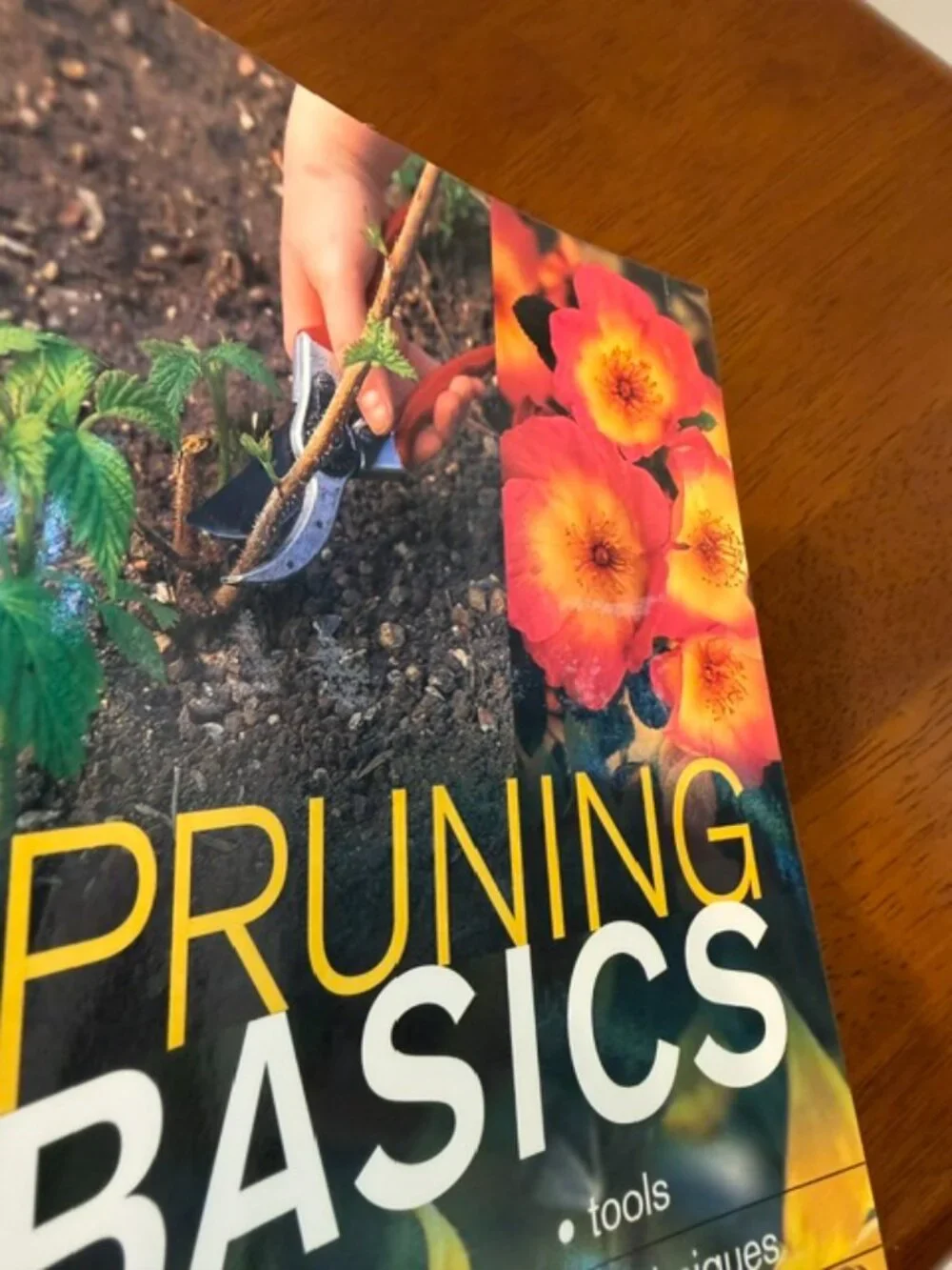 N/A pruning basics
